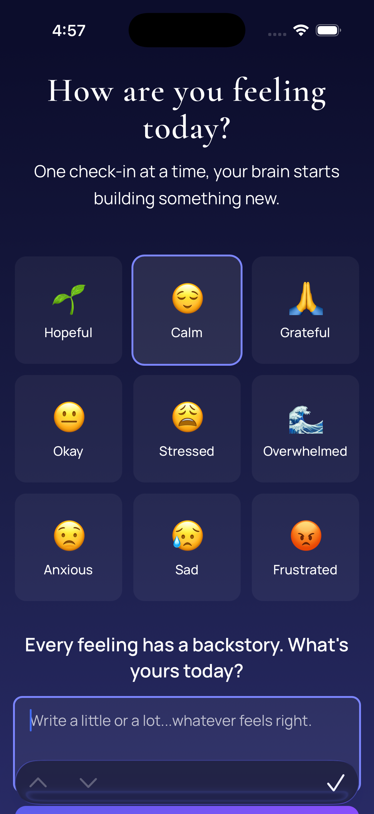 Daily Check-In screen